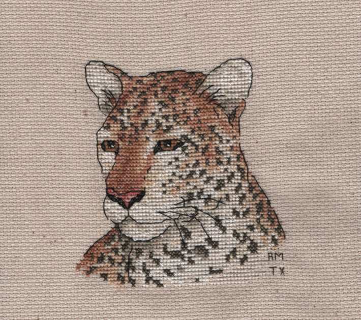 Cross Stitch Sample