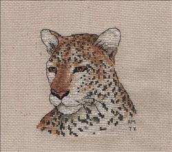 Leopard