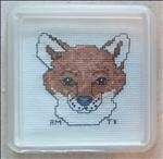 Fox Coaster