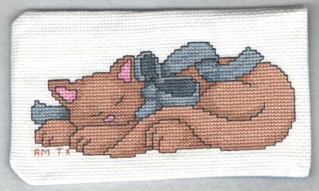 Napping Cat Eyeglass Case