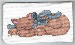 Napping Cat Eyeglass Case