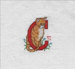 Animal Alphabet - C for Cat