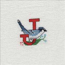Animal Alphabet - J for Jay