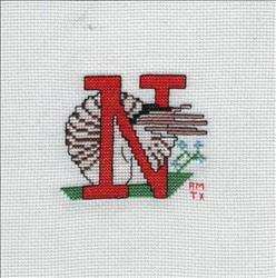 N for Nautilus