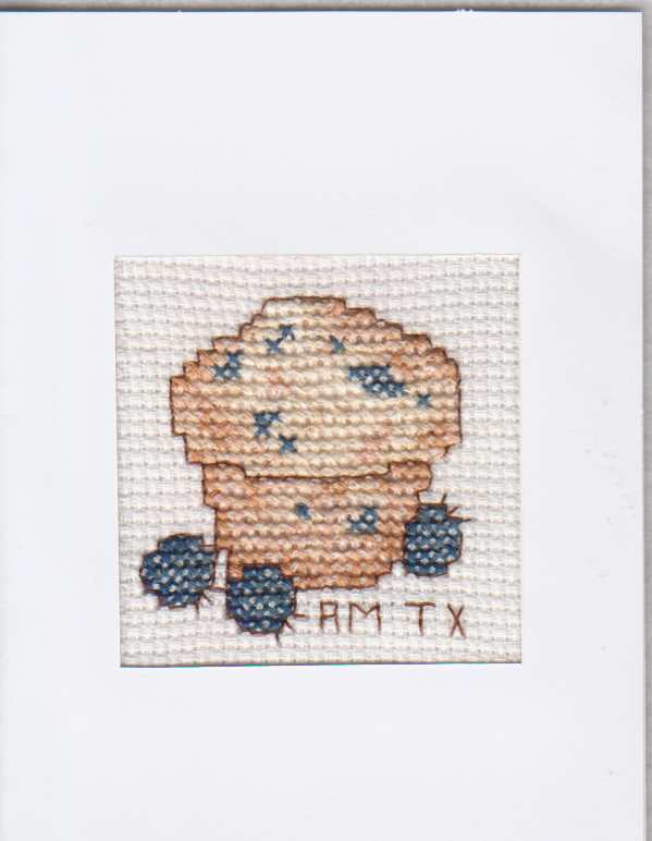 Stitched by Anita in Texas