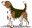 Special Date Icon