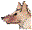 Special Date Icon