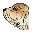 Special Date Icon