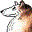 Special Date Icon