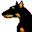 Special Date Icon