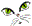 Special Date Icon