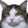 Special Date Icon
