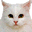 Special Date Icon