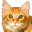Special Date Icon