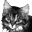 Special Date Icon