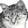 Special Date Icon