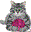 Special Date Icon