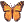 Special Date Icon